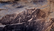 Puerco Pueblo Petroglyphs 14-2691